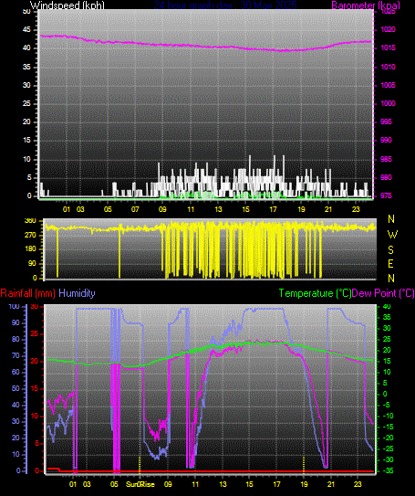 24 Hour Graph for Day 29